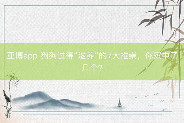 亚博app 狗狗过得“滋养”的7大推崇,你家中了几个?