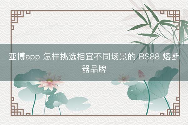 亚博app 怎样挑选相宜不同场景的 BS88 熔断器品牌