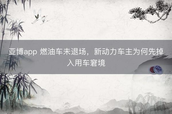 亚博app 燃油车未退场，新动力车主为何先掉入用车窘境