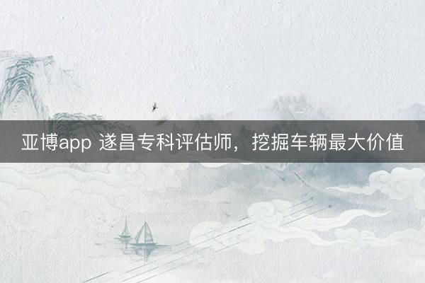 亚博app 遂昌专科评估师，挖掘车辆最大价值