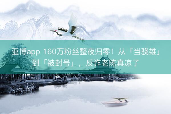 亚博app 160万粉丝整夜归零！从「当骁雄」到「被封号」，反诈老陈真凉了