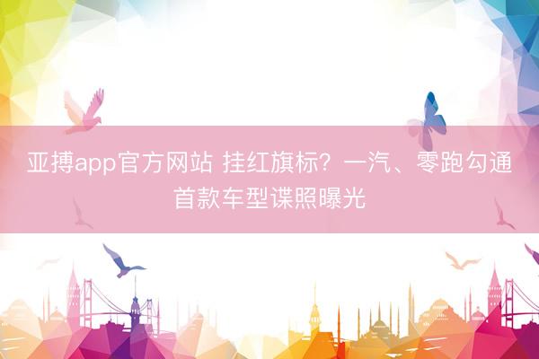 亚搏app官方网站 挂红旗标?一汽、零跑勾通首款车型谍照曝光