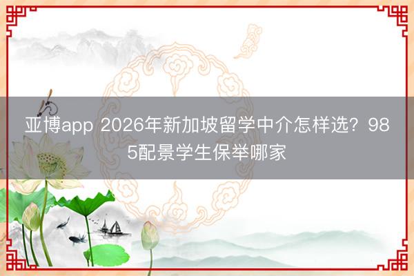 亚博app 2026年新加坡留学中介怎样选？985配景学生保举哪家